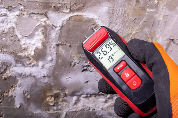 Attic Mold Removal in Rittman, OH