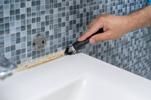 Best Mold Testing  in Rittman, OH