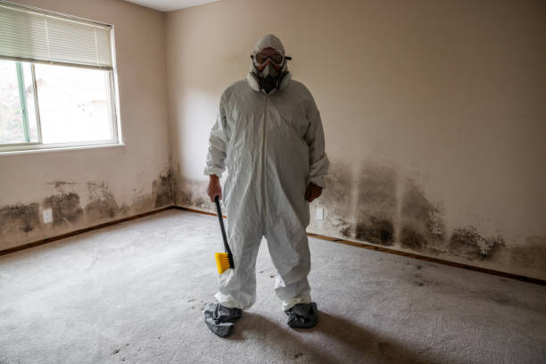 Best Mold Removal Process  in Rittman, OH